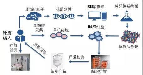 煜森資本 華大吉諾因攜腫瘤新生抗原誘導(dǎo)CTL技術(shù)亮相AACR，開啟免疫治療新篇章