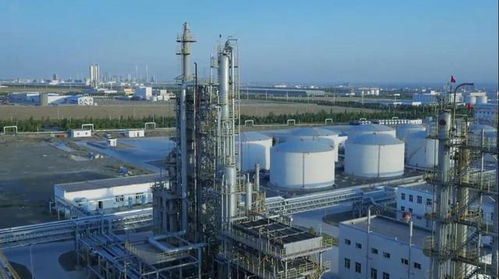 砥礪奮進五年間 奎屯—獨山子經濟技術開發區榮獲兩項國家級殊榮，技術轉讓成果顯著